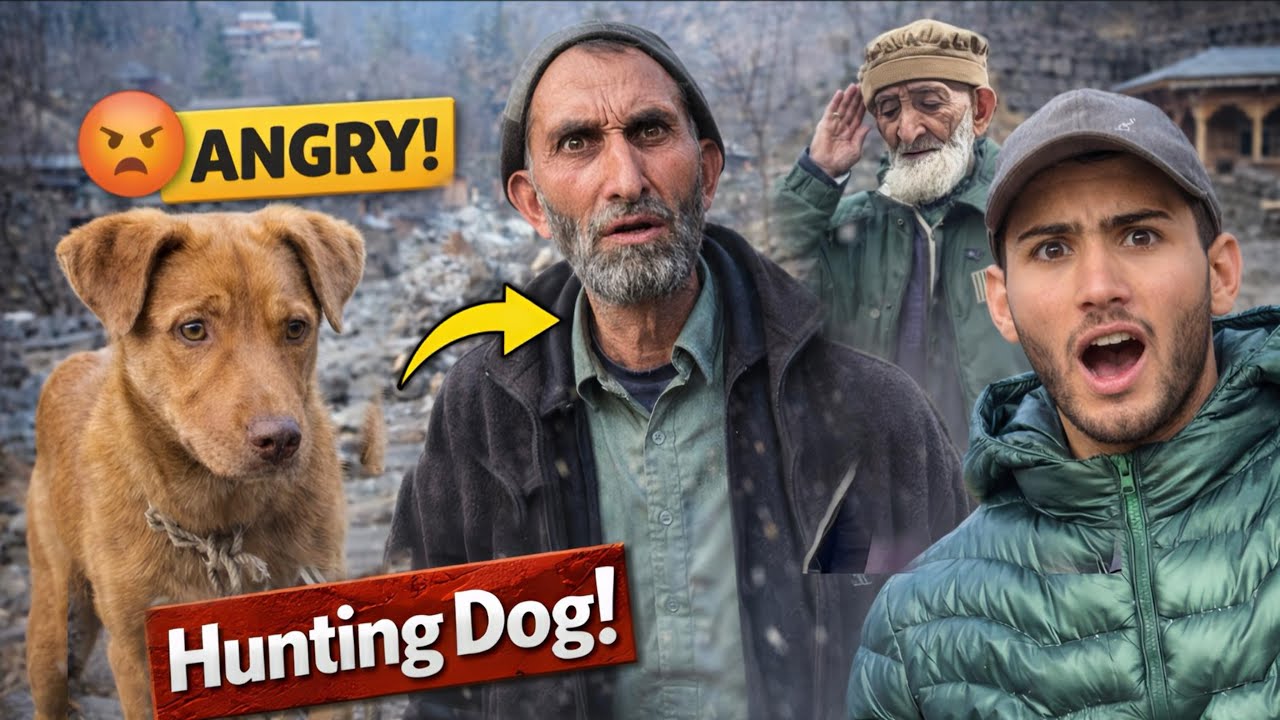 We Secretly Brought a Hunting Dog Home… Father’s Angry Reaction 😱 | Neelum Valley Vlog