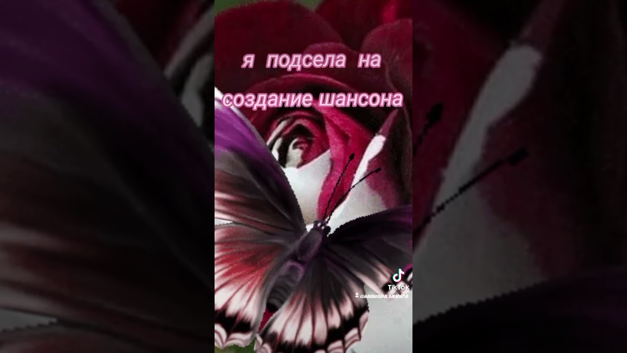 Рассвет