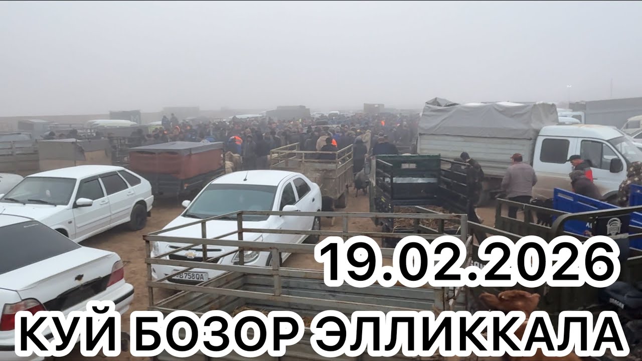 ЭЛЛИККАЛА БУСТОН КУЙ БОЗОР 