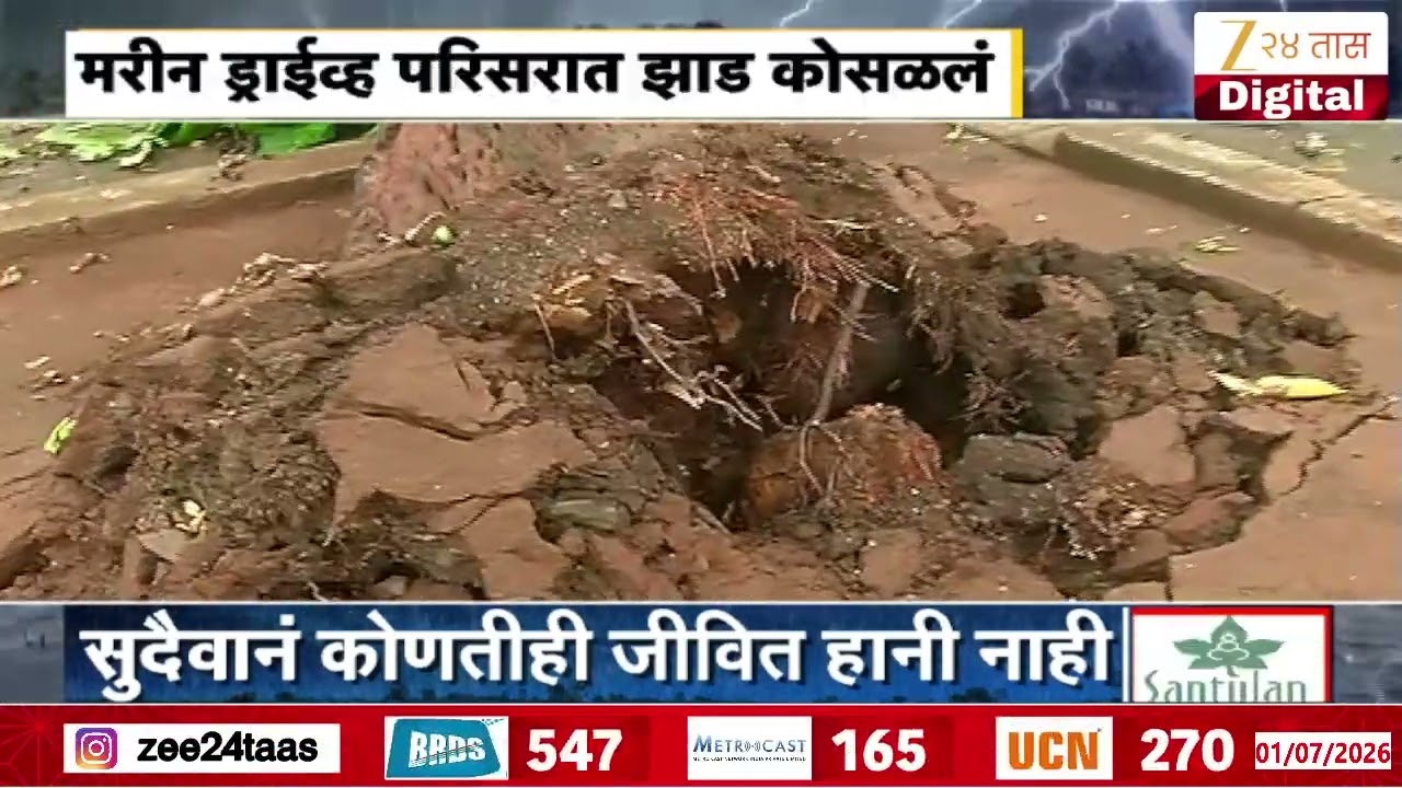 Marine Drive Tree Uprooted From Heavy Winds  | मरीन ड्राईव्ह परिसरात झाड कोसळलं | Zee24Taas