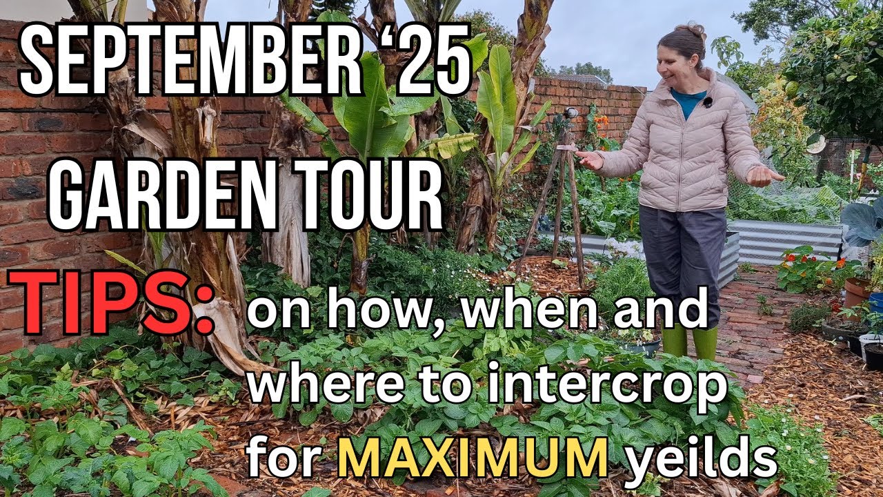 September '25 Garden Tour | Tips on how, when & where to intercrop for MAXIMUM yeilds