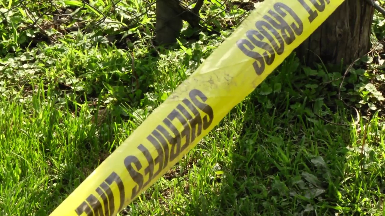 Mingo Co. investigation