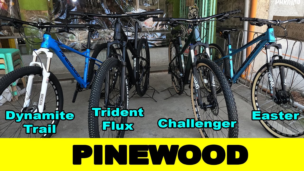 Pinewood MTB Comparison | Easter vs Challenger vs Trident Flux vs Dynamite Trail |