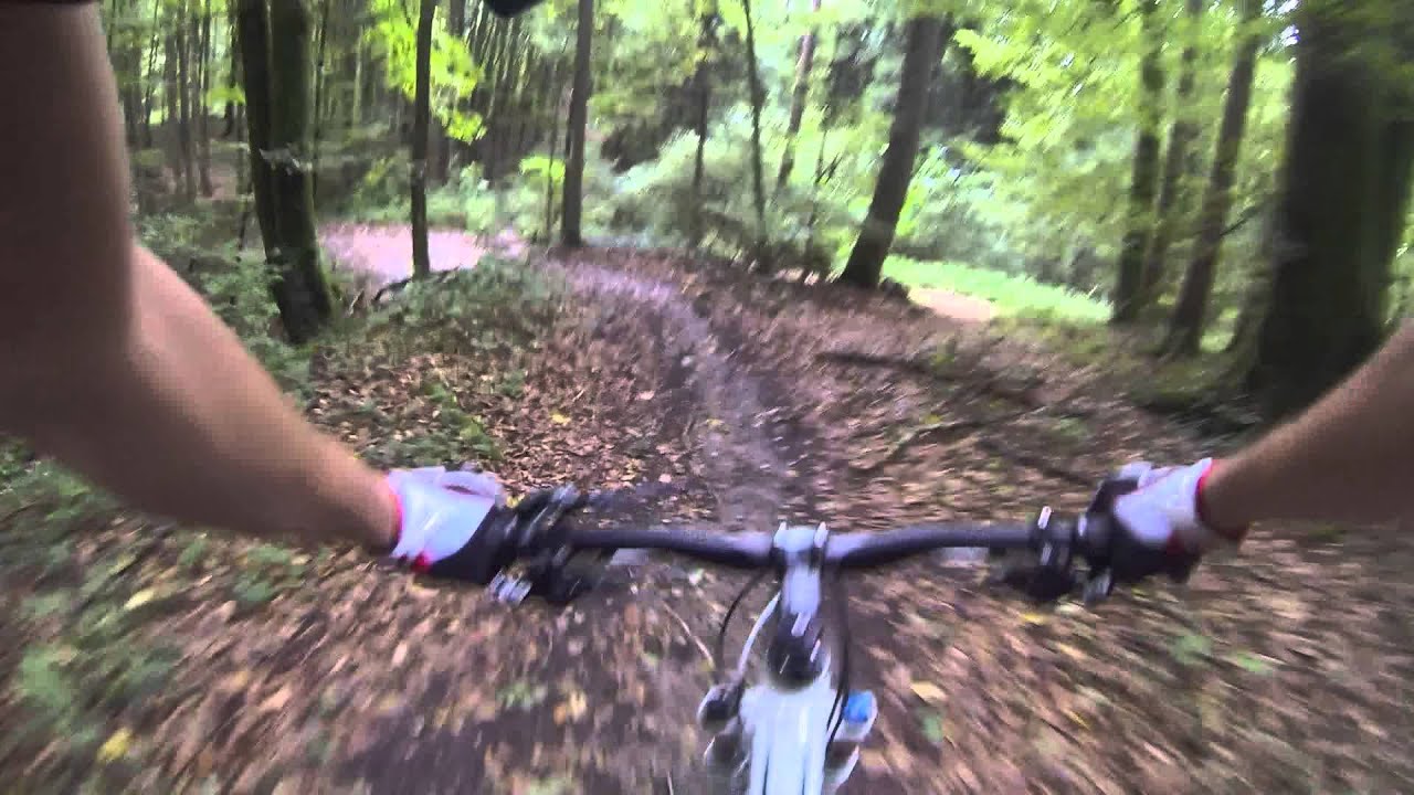 Singeltrail Extrem am Schienerberg