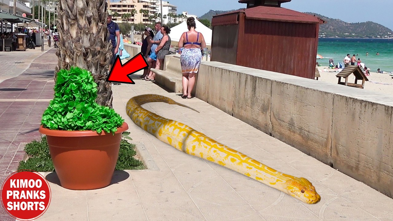 Almost ATTACKED BY A GIANT SNAKE | Top Funniest Public Scares | Best Prank Of 2025