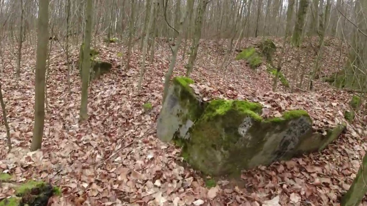 Kleine Tour zum Bunker 135 , 136 und 137