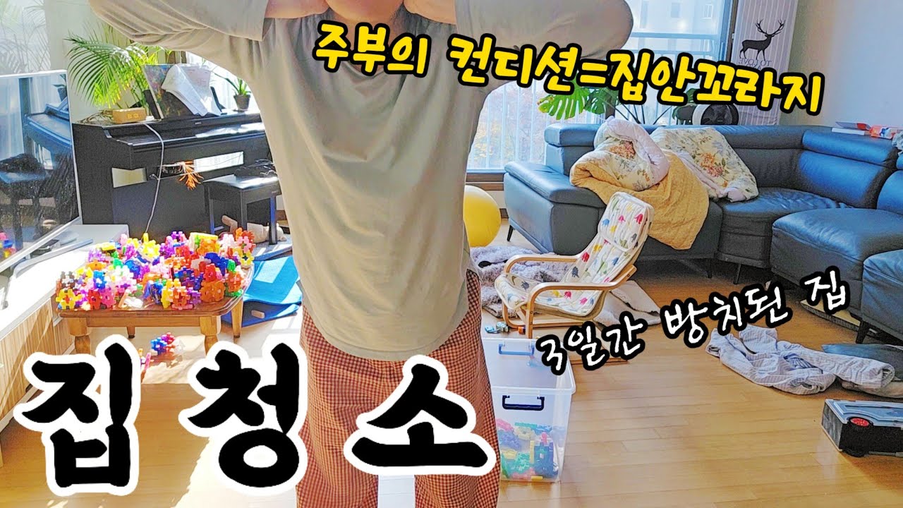 개나소나 다 한다는 집청소!그것이 나의 일..🎵나는 내가 빛나는 현모양처인 줄 알았어요.몰랐어요.내가 개똥 전업주부라는것을,,ㅋㅋ😂 청소마려운 청소현장