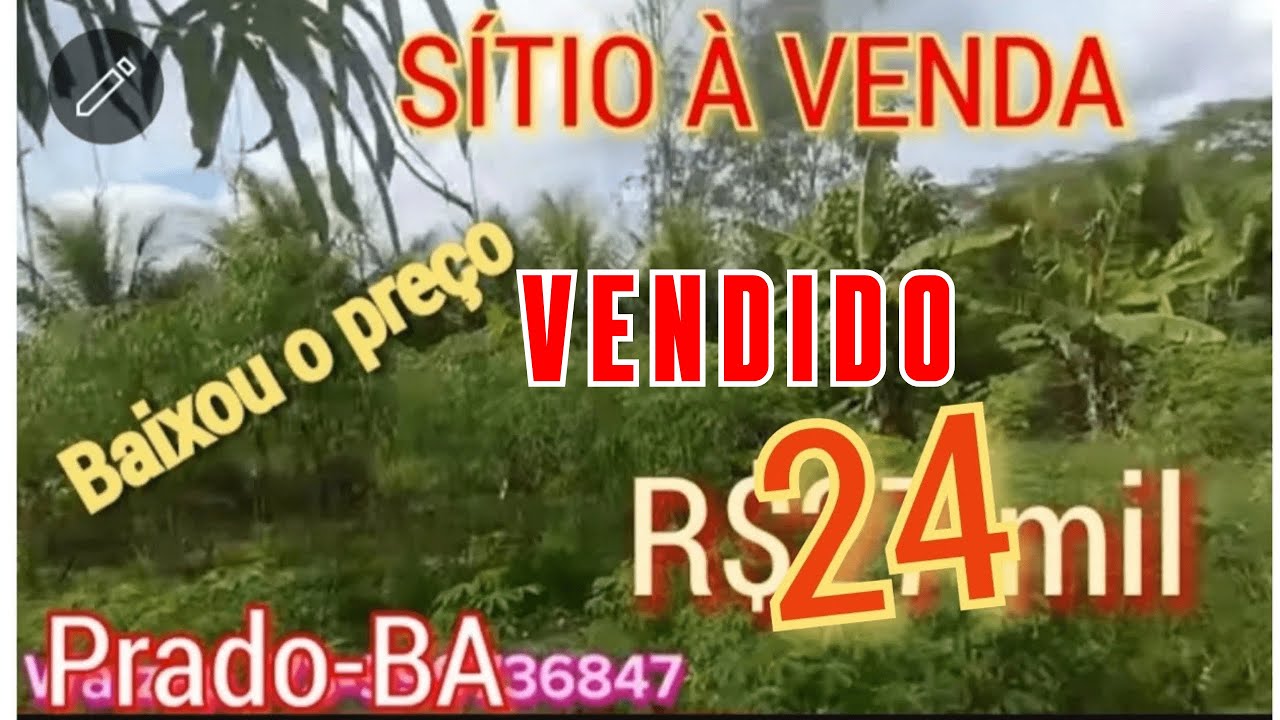 SÍTIO AGORA R$24 mil. com pés de corante e Pimenta do reino. 15 Km do  Prado Bahia