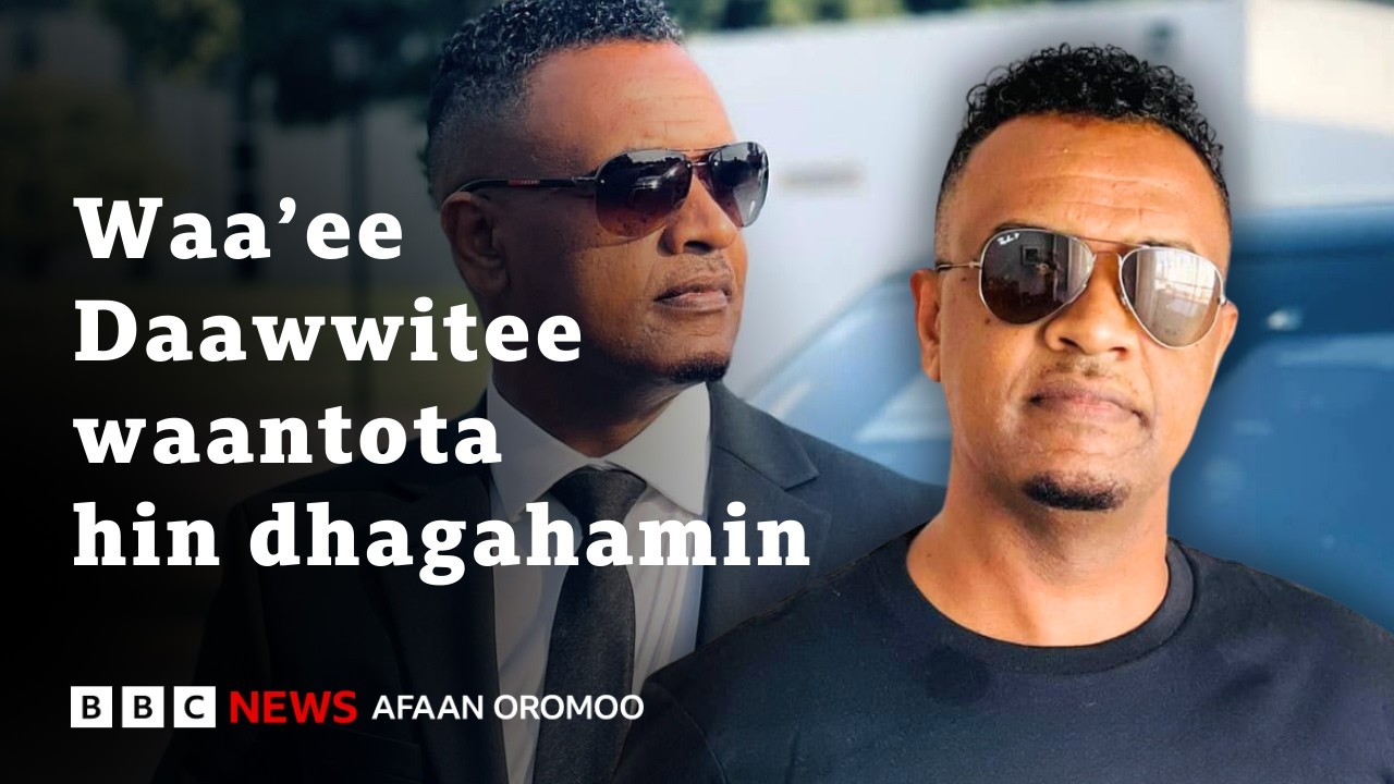 Turtii addaa Artist Daawwitee Mokonniin waliin taasifne | BBC News Afaan Oromoo