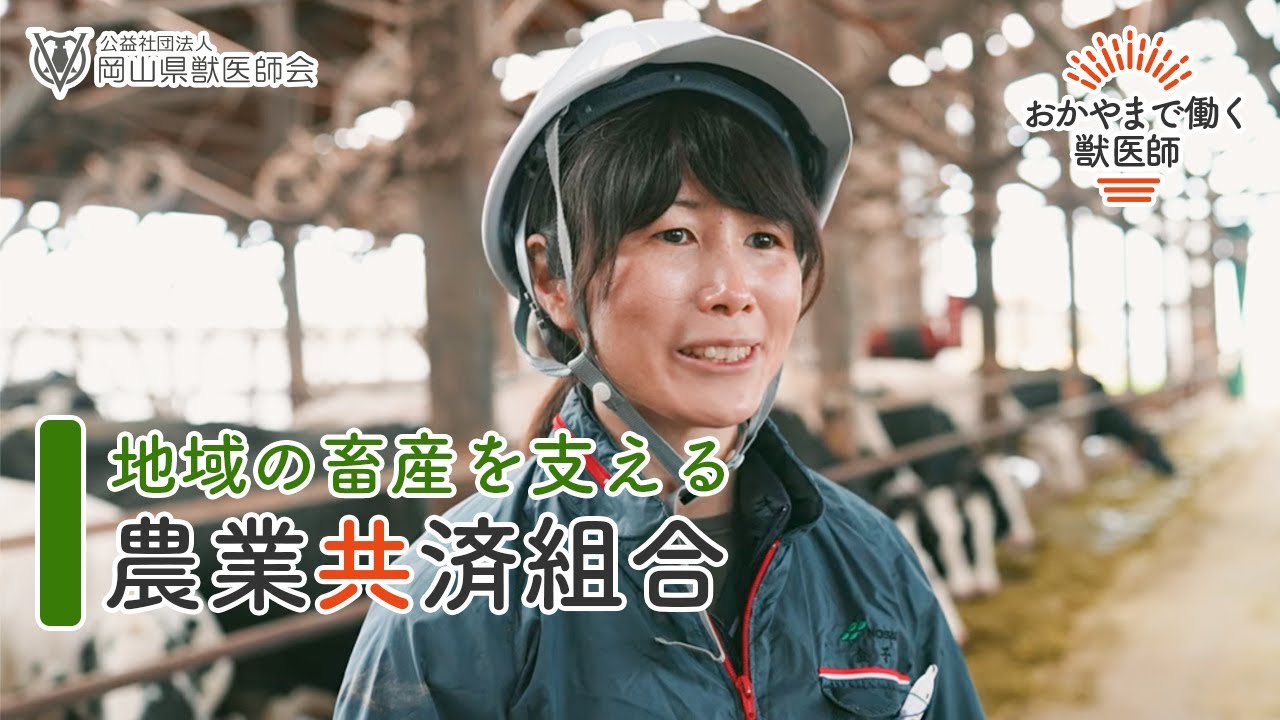 岡山県農業共済組合で働く獣医師【インタビュー】