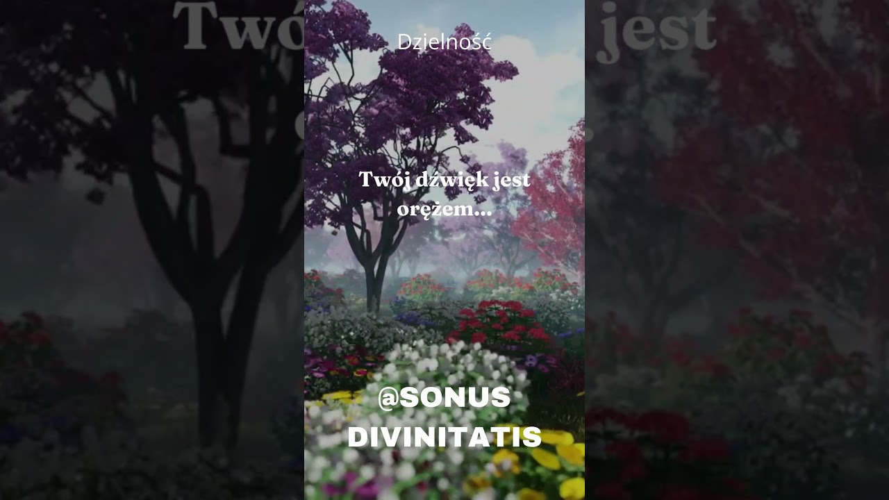 #shorts  Nuta Siły. Motywacja autor&oacute;w i muzyk&oacute;w- Sonus Divinitatis nr.14