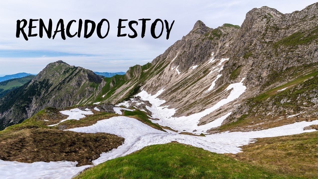 RENACIDO ESTOY | Himno Majestuoso #331
