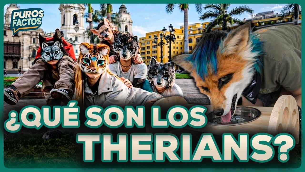 Therians: qu&eacute; significa la tendencia viral que circula en redes | SEGMENTO #PurosFactos