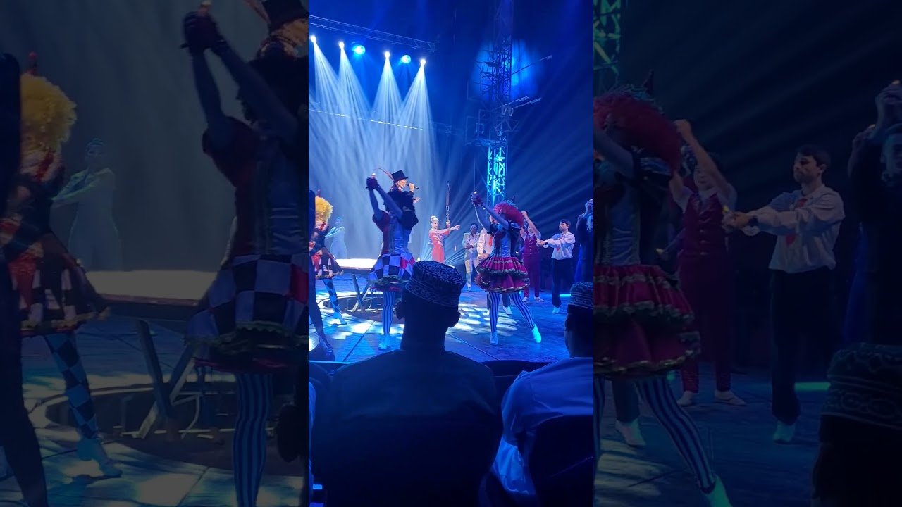 circus 🎪 show