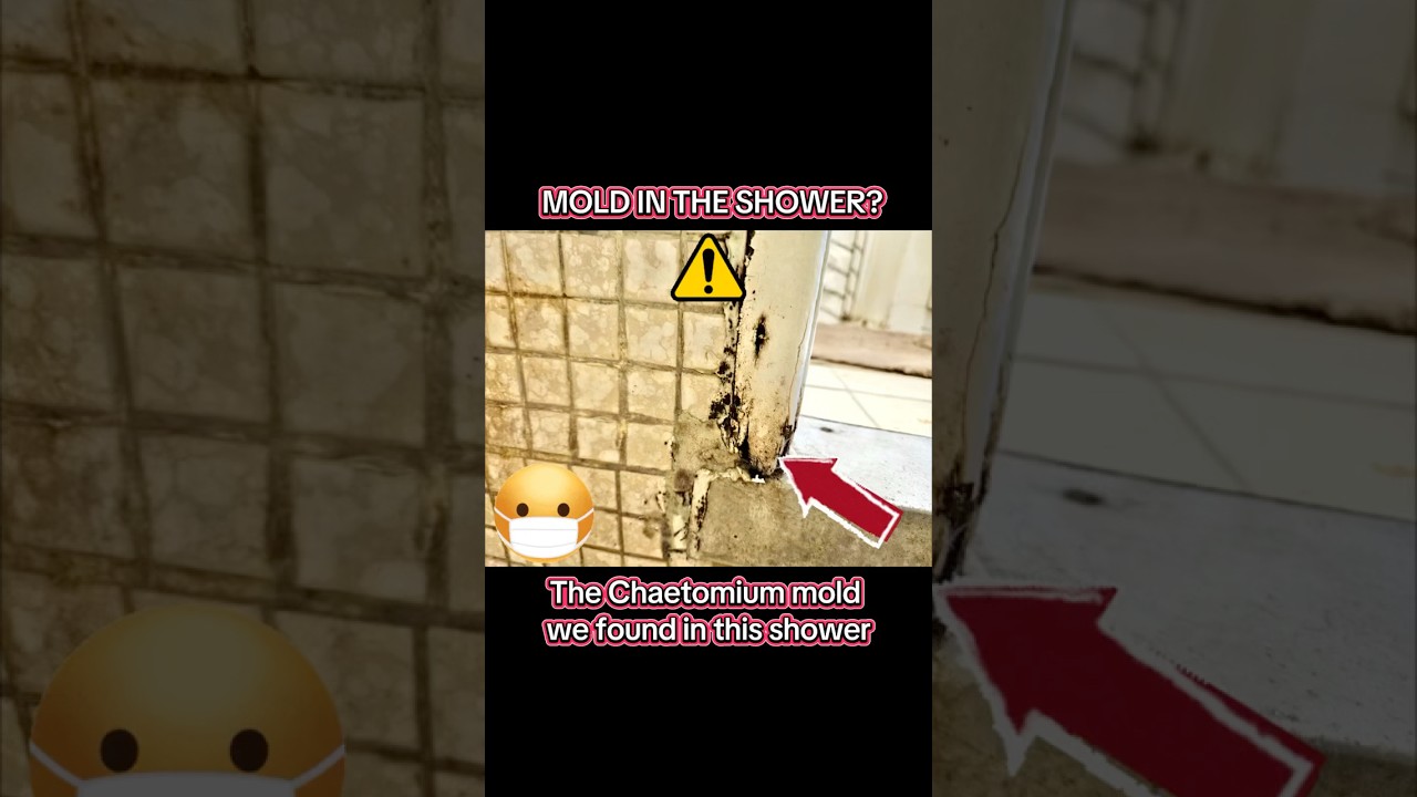 Mold in the shower? ⚠️ Why and how to avoid it! #moldremoval