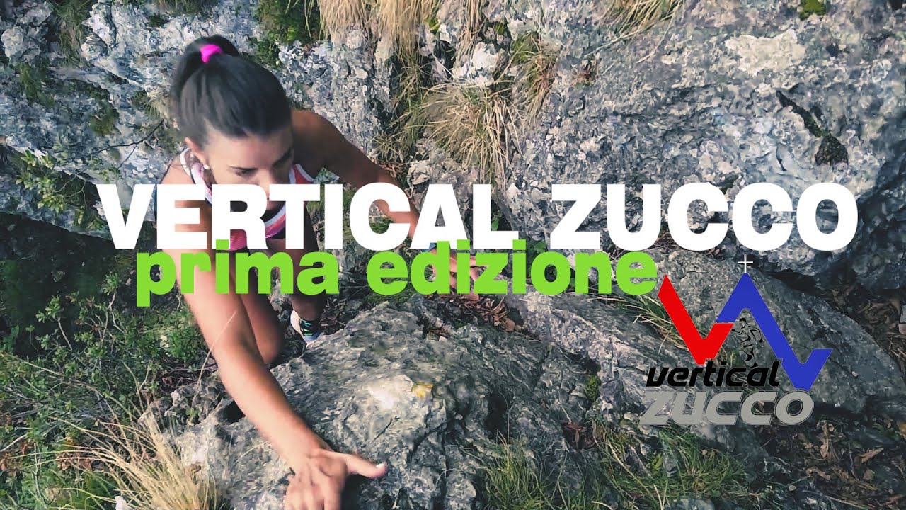VERTICAL ZUCCO 2022