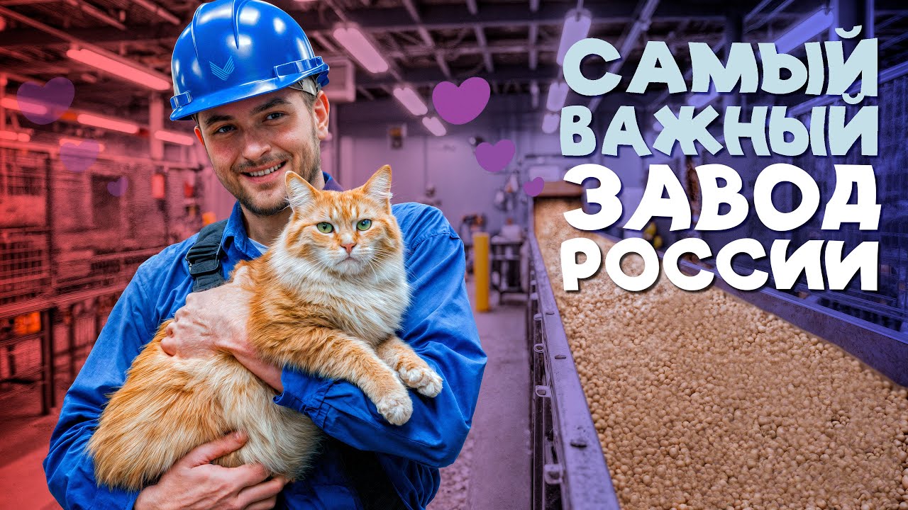 Как на самом деле производят корм для кошек и собак в России. Показываем завод Лимкорм