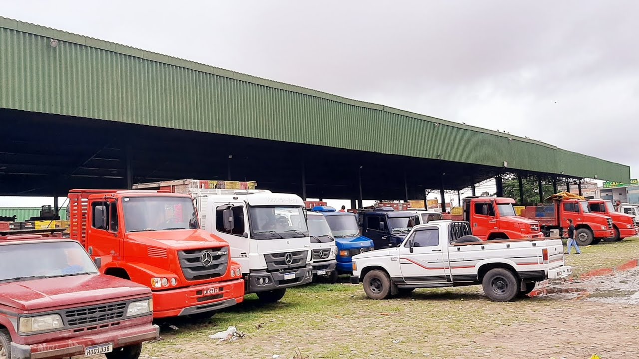 CEASA DE TIANGUÁ CEARA MUITA FARTURA FRUTAS E VERDURAS