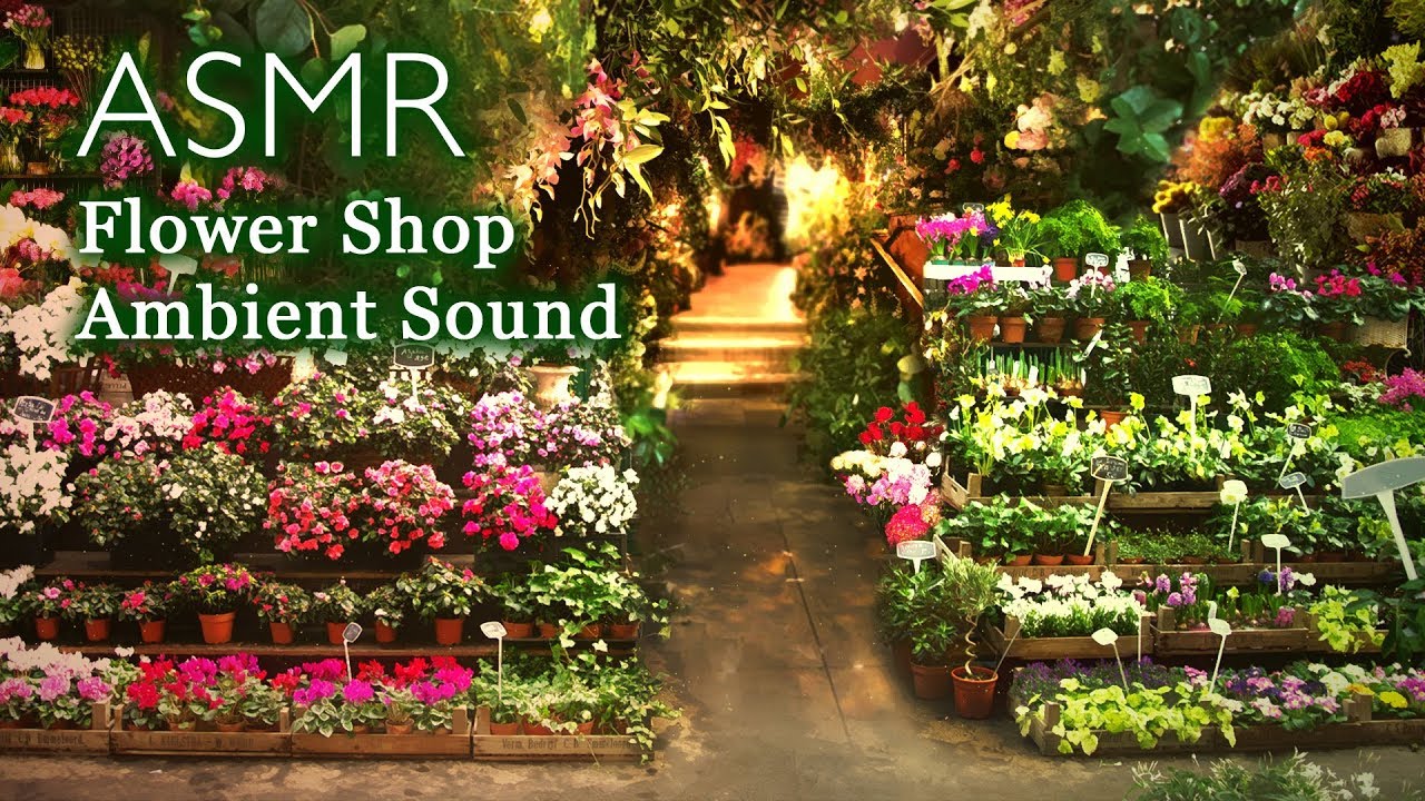 Flower Shop on the street Ambience Sound