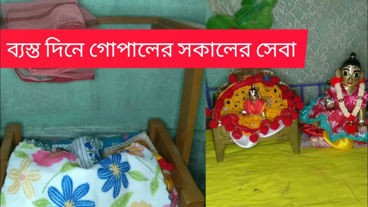 ব্যস্ত দিনে গোপালের সকালের সেবা || #laddugopal  @GopluGopuMemory