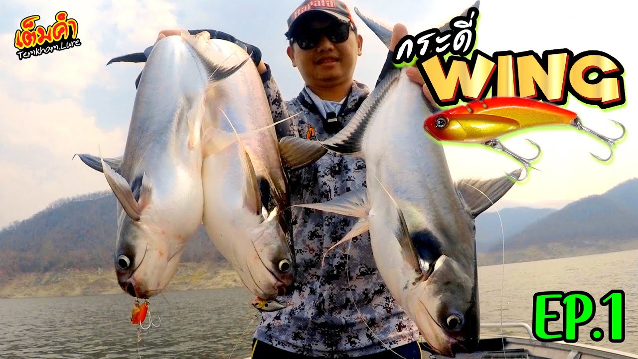 กระดี่(วิ้ง)  WiNG ใช้ตกปลาเทโพ  vibration EP.54