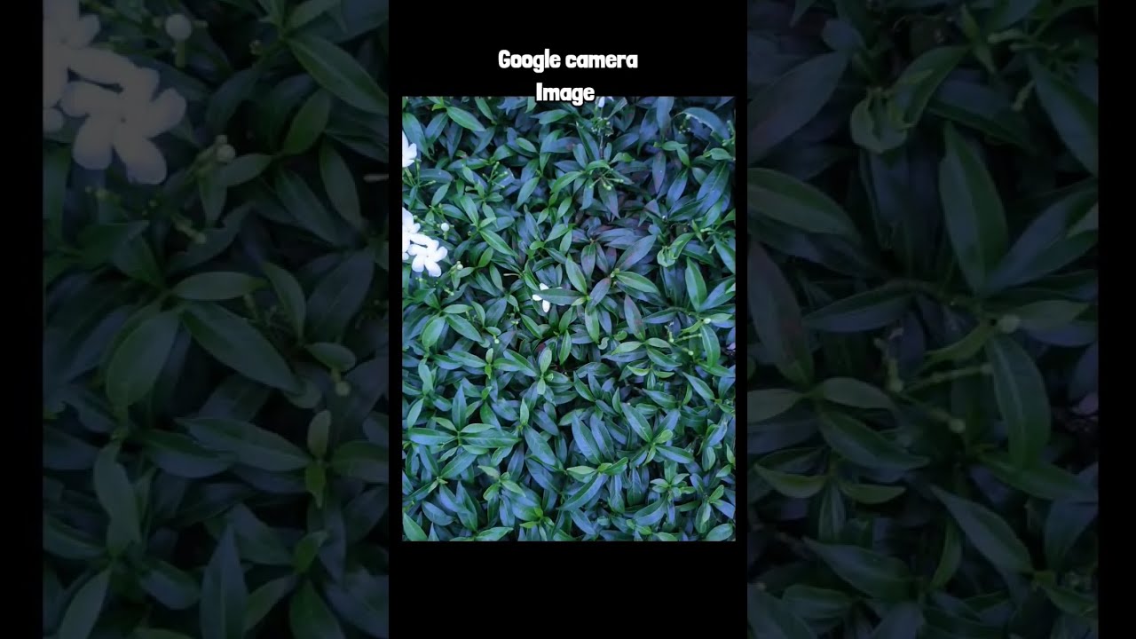Google camera Vs Main Camera #shorts #gcam