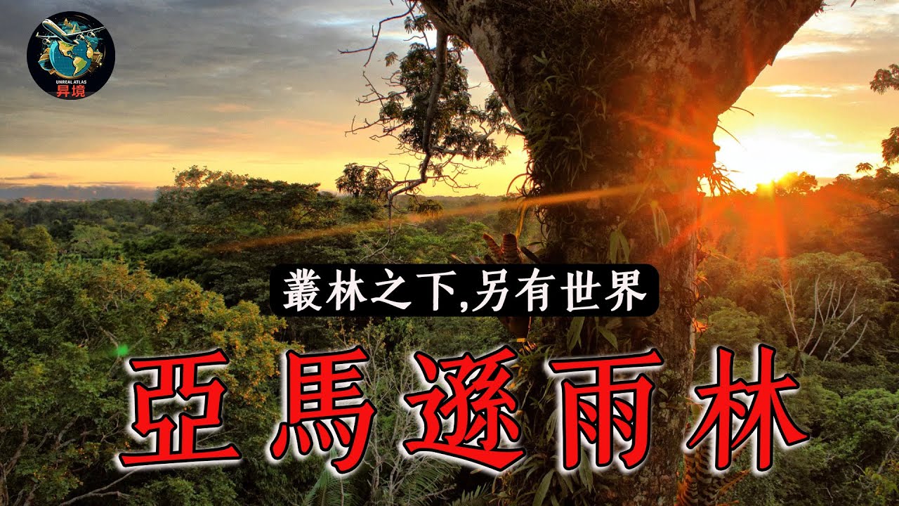 亞馬遜雨林 | 世界最大、最神秘的叢林 | 4K旅行纪录片