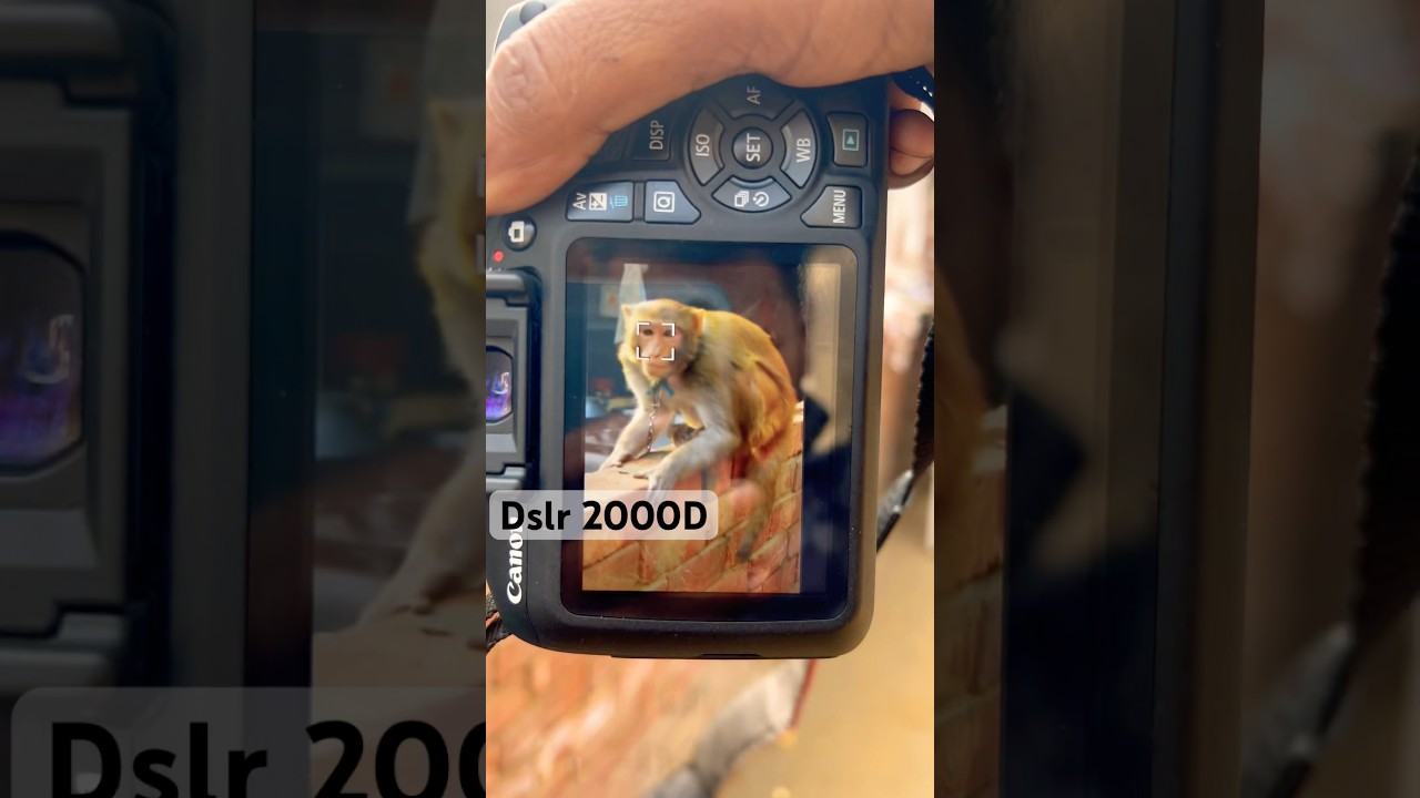 Canon 2000D 📸 #dslr #photographer #dslrcamara #photography #dslrpic #photoediting #dslrlovers