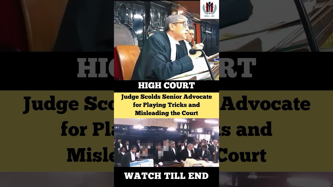 Judge Scolds Senior Advocate for misleading the Court #judge #advocate #highcourt #shortvideo
