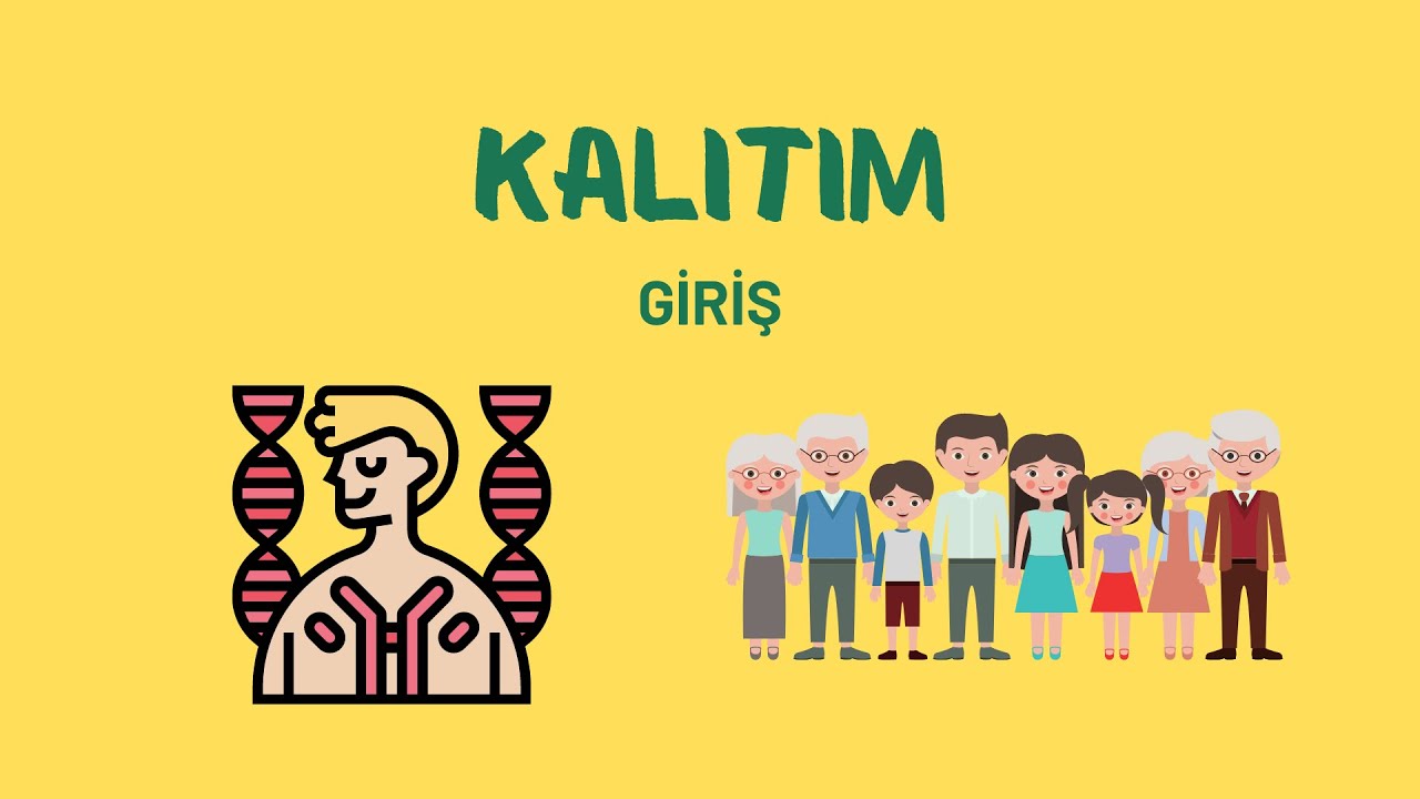 10.Sınıf Biyoloji: Kalıtım - Giriş