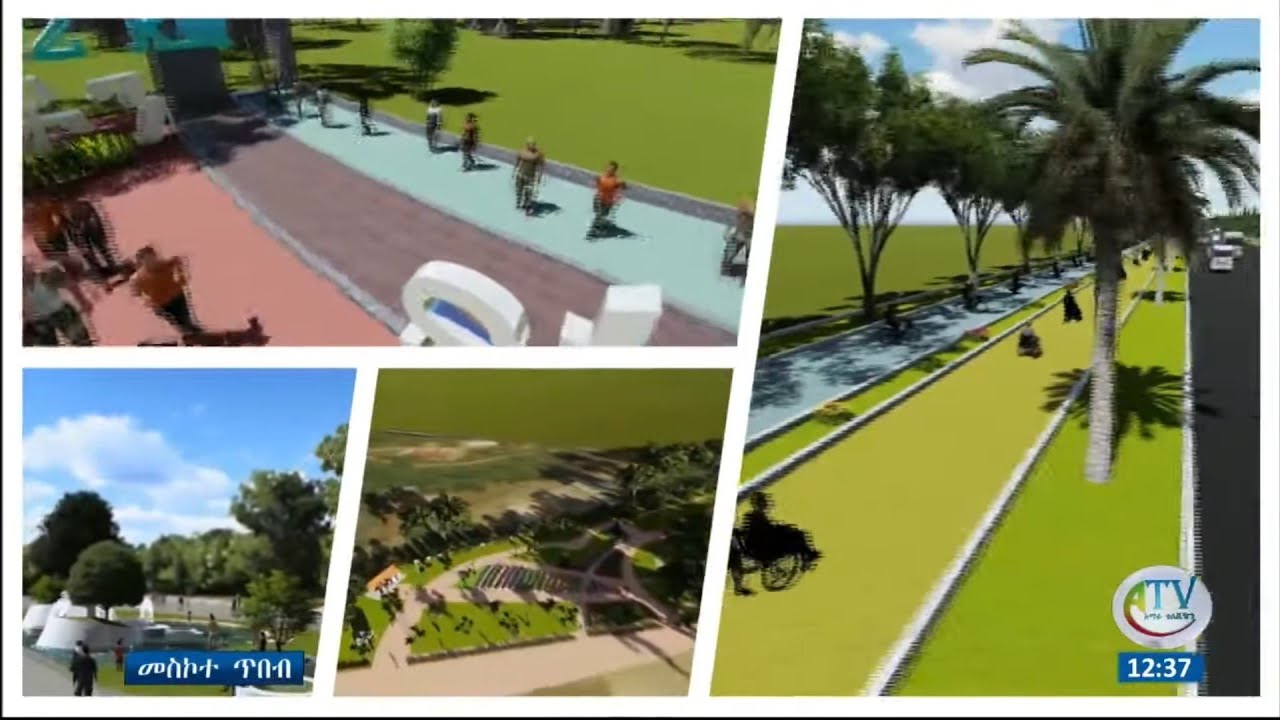 አዲሱ የባሕር ዳር መዋቅራዊ ፕላን