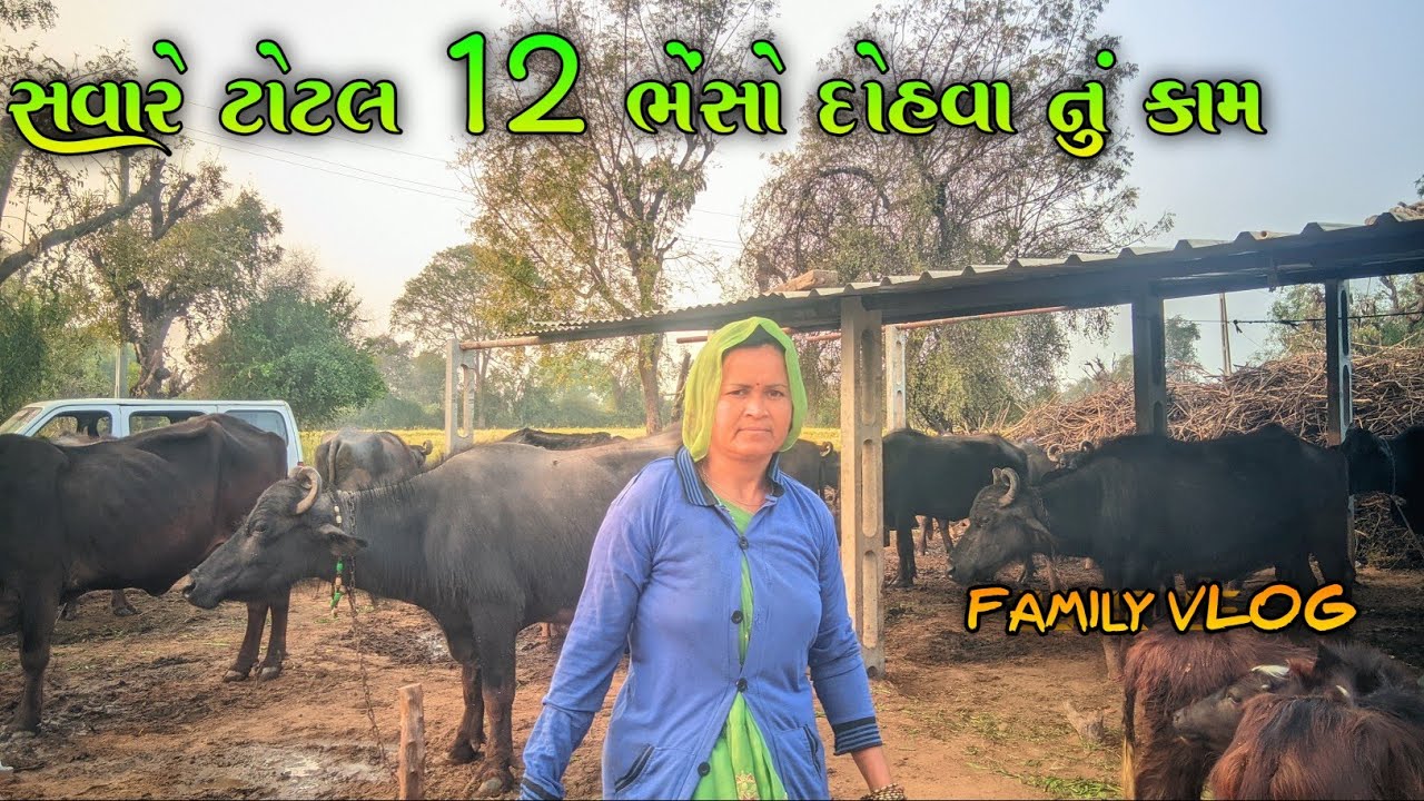 રોજ સવાર-સાંજ દૂધ પાવાનું | FAMILY VLOG |