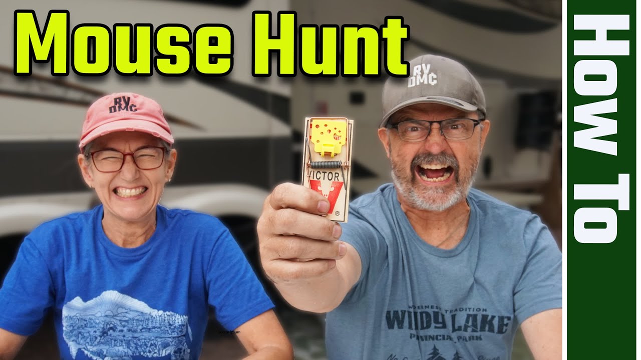 RV Living Reality | Dealing with a Serious Mouse Infestation