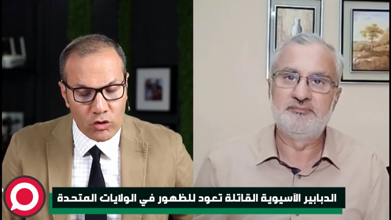 الدبابير الآسيوية القاتلة تعود للظهور من جديد في أمريكا