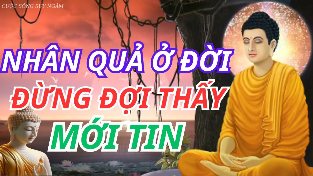 NHÂN QUẢ Ở ĐỜI: ĐỪNG ĐỂ NGHIỆP ĐẾN MỚI TIN, ĐỪNG ĐỂ ĐAU KHỔ MỚI BUÔNG BỎ | CUỘC SỐNG SUY NGẪM