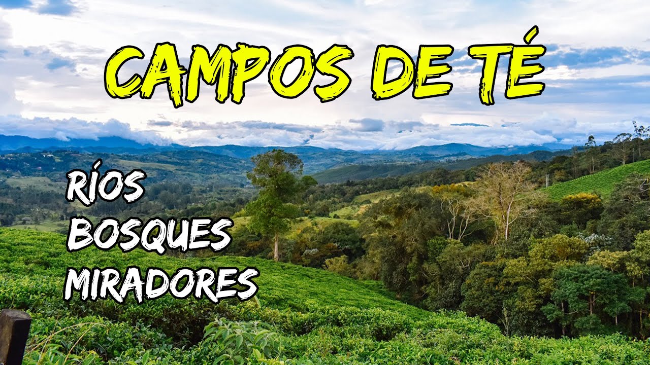 Explorando la trocha de Dapa a La Cumbre, Valle | Encontramos ROPA LIMPIA TIRADA en un bosque