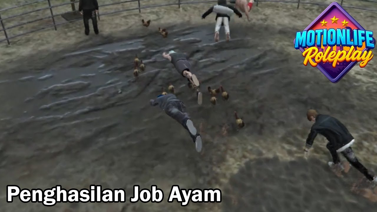 Berapa sih penghasilan jadi kang ayam di motionlife roleplay ?, #motionliferoleplay