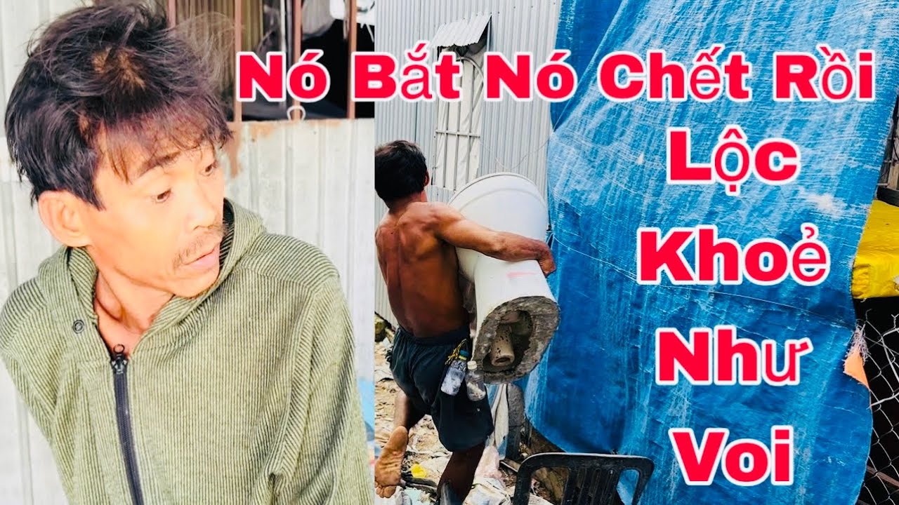  Nó Bắt Nó Ch?ết Rồi/Lộc Khoẻ Như Voi-ULMT 