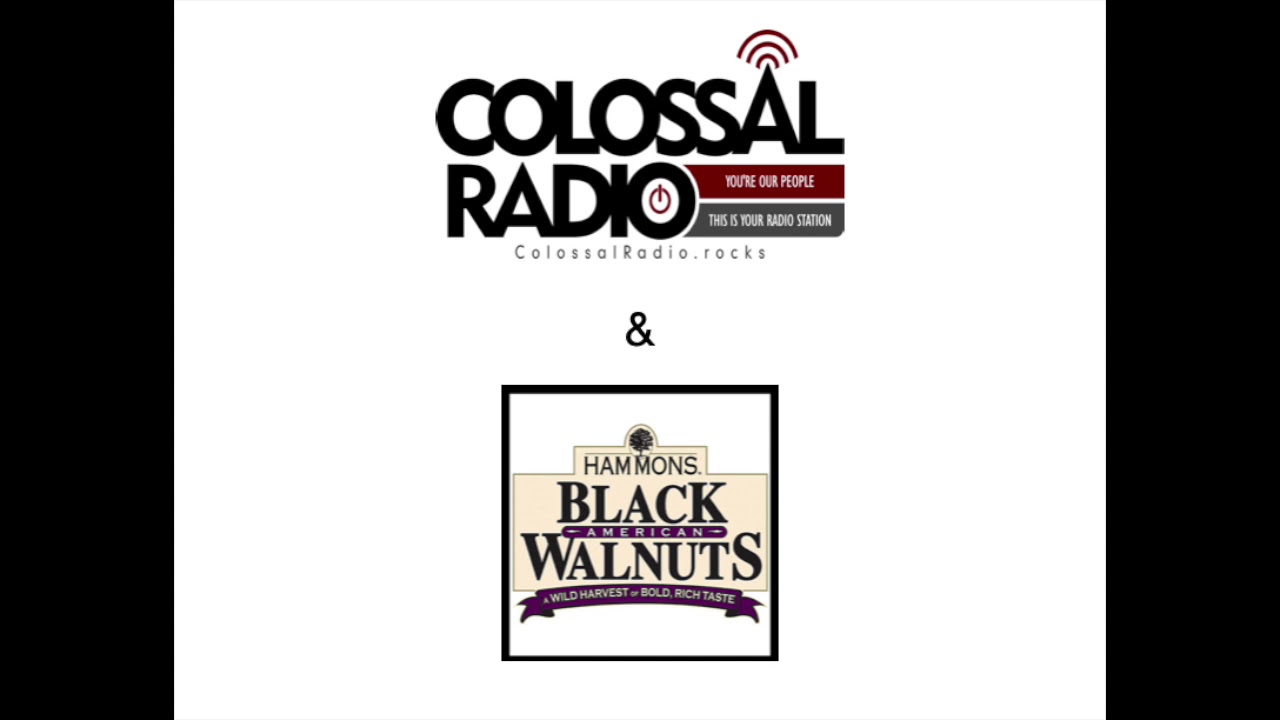 Hammons Black Walnuts