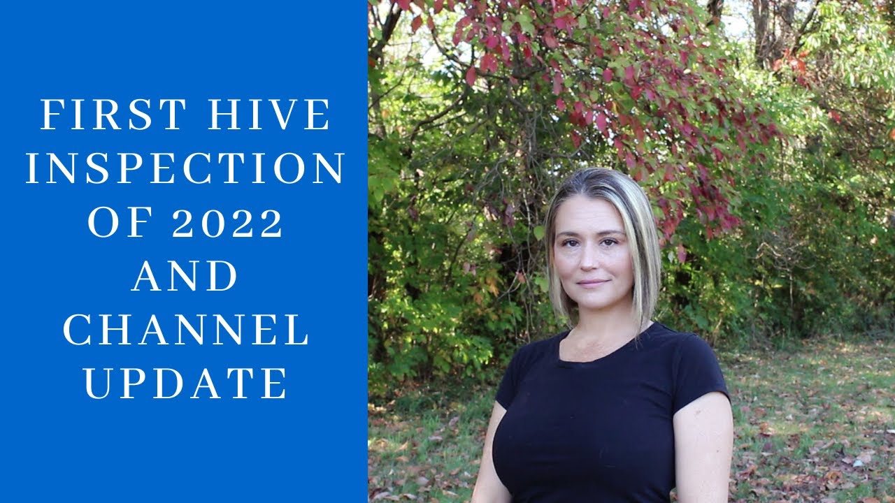 First Hive Inspection Of 2022 And Channel Update