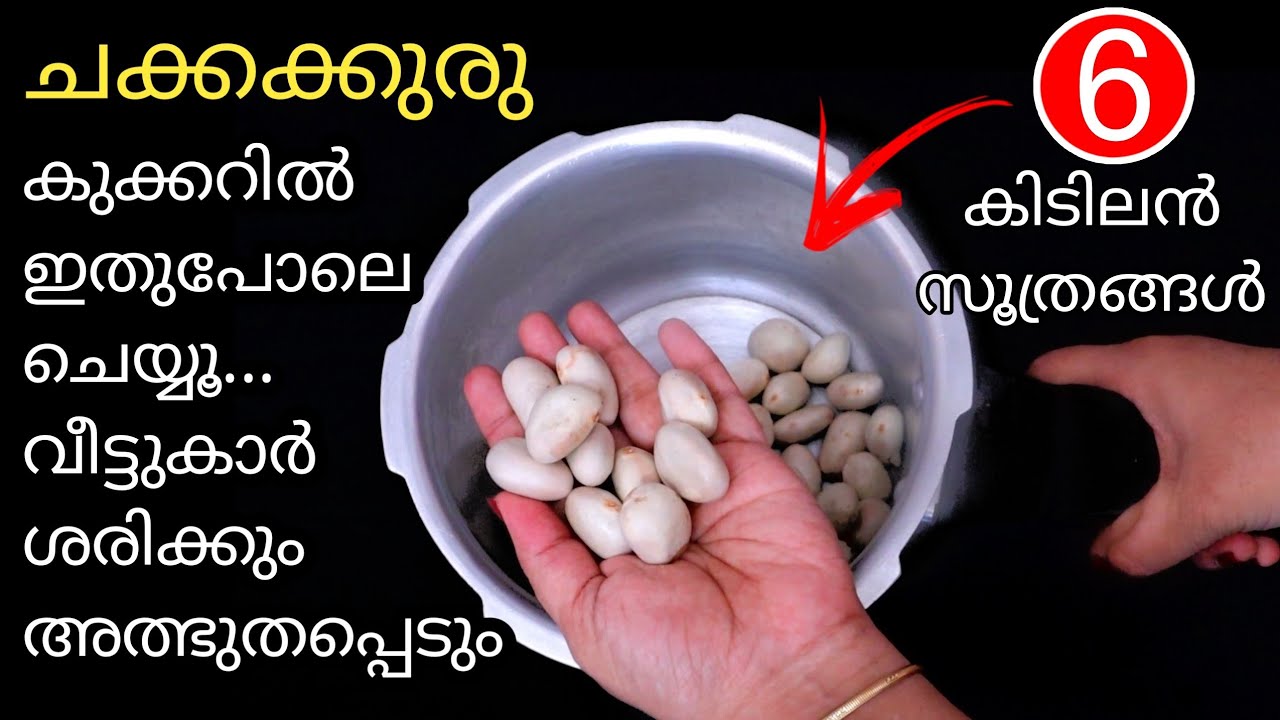ചക്കക്കുരു തൊലി കളയാൻ 5 മിനിറ്റ് മതി.പുതിയ സൂത്രം കണ്ടു നോക്കൂ|Kitchen Tips Malayalam