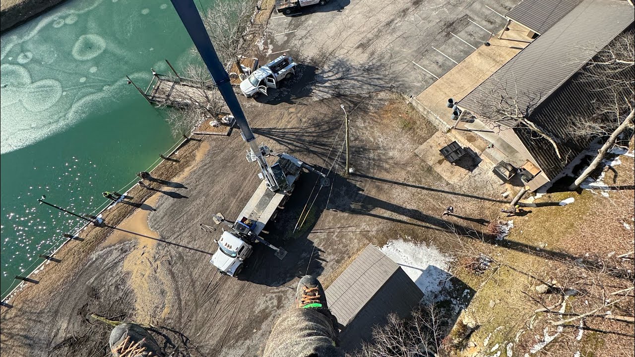 7-Minute Tree Removal with Crane – Real Time!