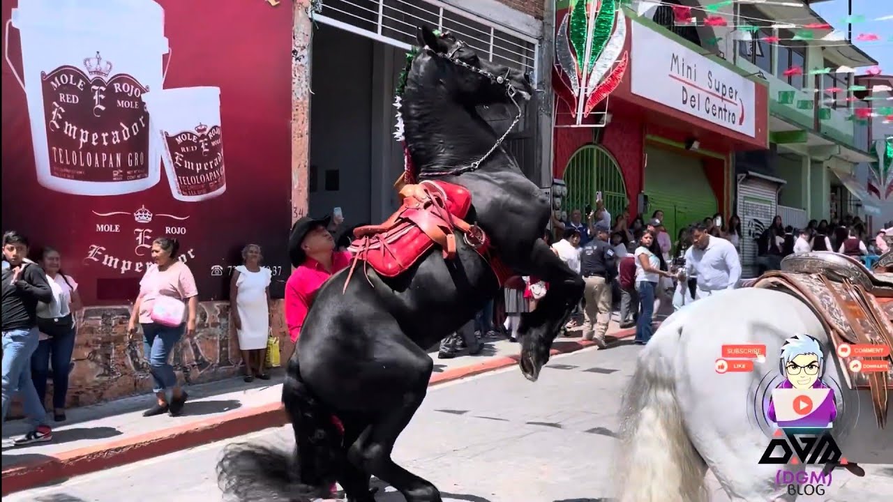 Desfile cívico 16 de septiembre Teloloapan Guerrero 