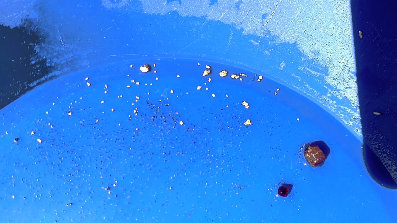 NH gold vid 3 of 3