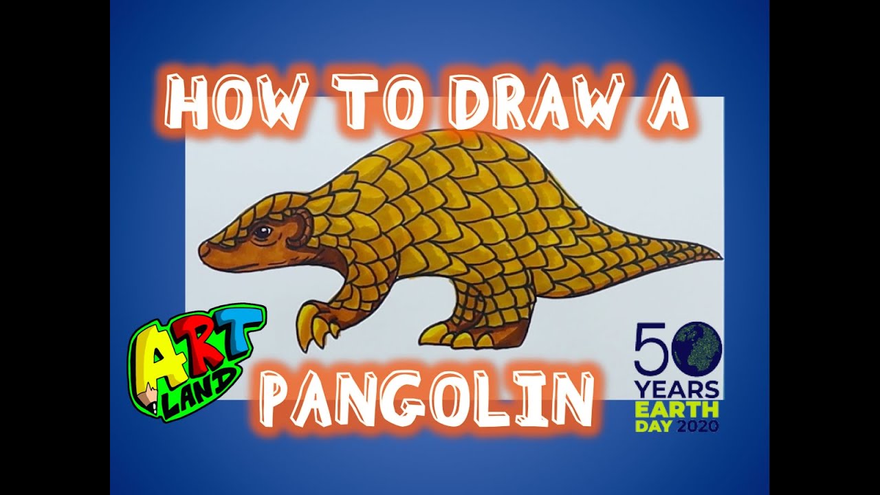 How to Draw a PANGOLIN
