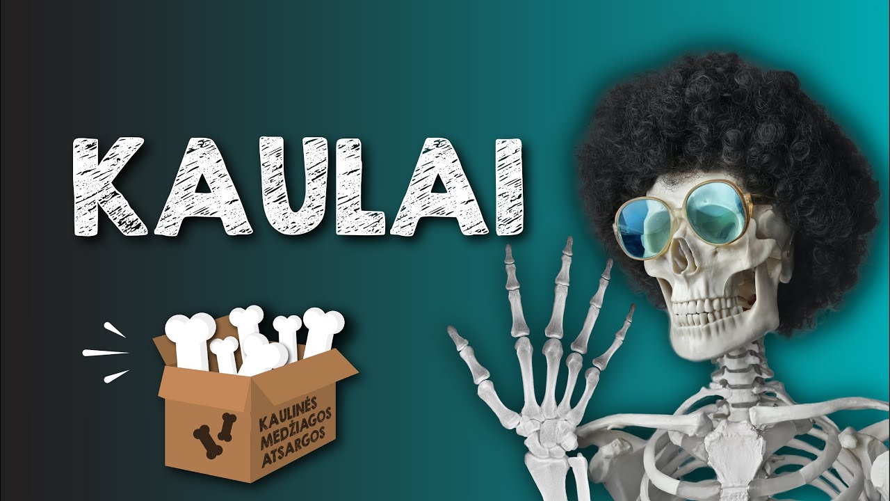 Kaulai || Dabar žinai # 10