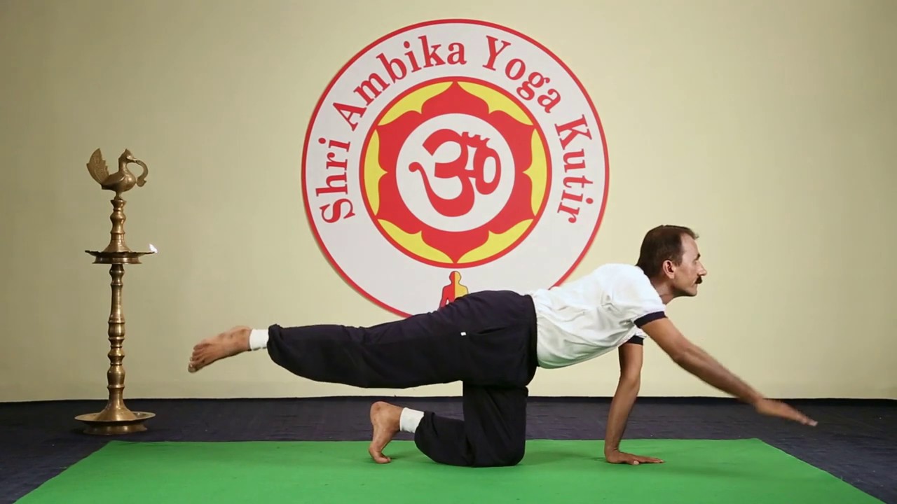 Shwanasan Type 2 - श्वानासन प्रकार २ - Shri Ambika Yoga Kutir