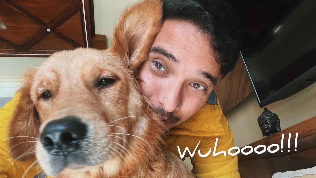 MAX ne pehli baar Gale lag ke pyar kiya 🥹🥹🥹 | Very Emotional 🫣 @THEHIMALAYANHUSKY