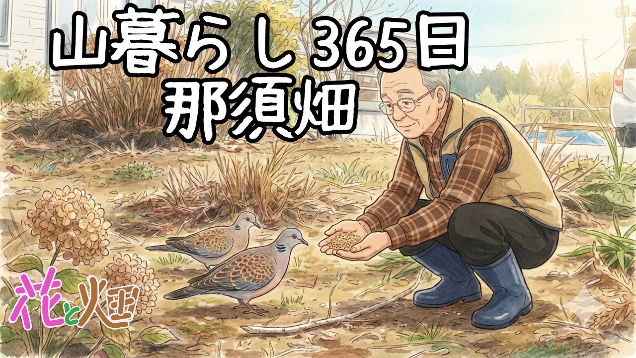 那須畑😃山鳩とお友達？02/21 26