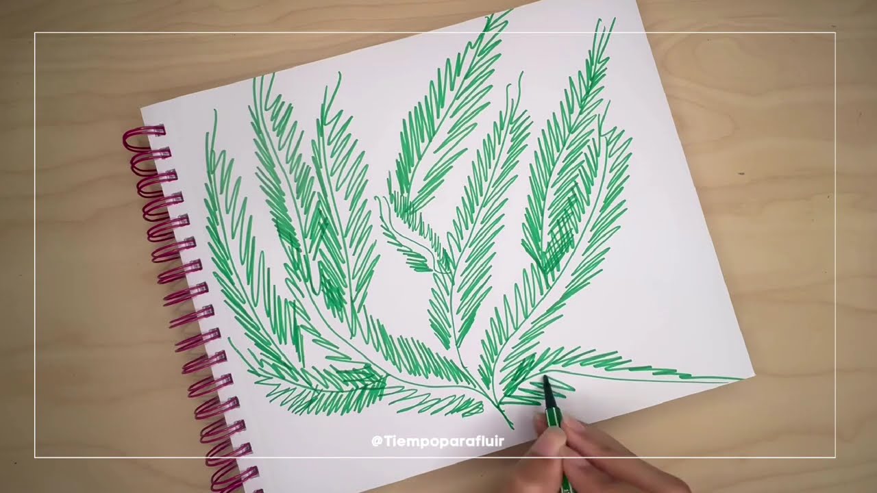 Todo puede florecer a tu ritmo 🌿